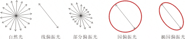 什么是偏振光？偏振光是如何完成檢測(cè)的？