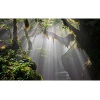 光的干涉、衍射、折射、反射、散射